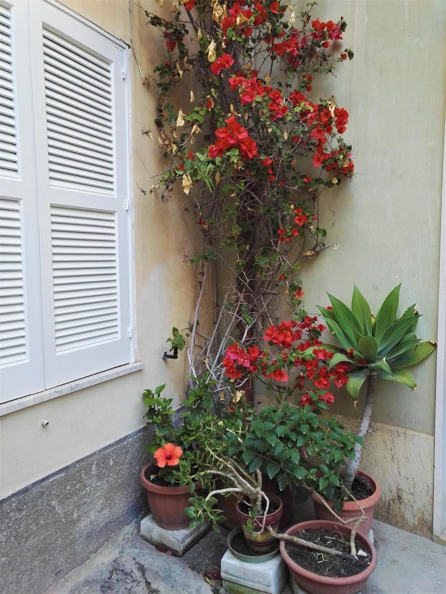 Aloha House Ortigia Villa Syracuse Eksteriør billede
